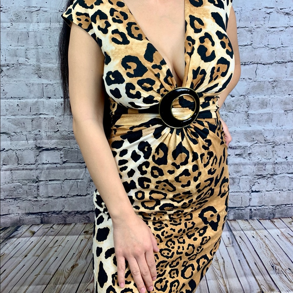 Animal Print Dress